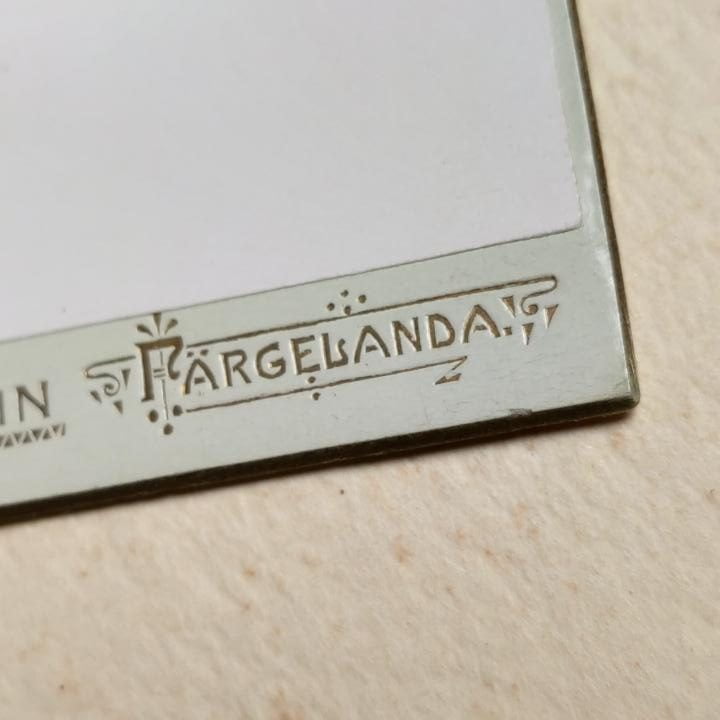 Hanna Augusta Ferlin, Najprawdziwsza sufrażystka