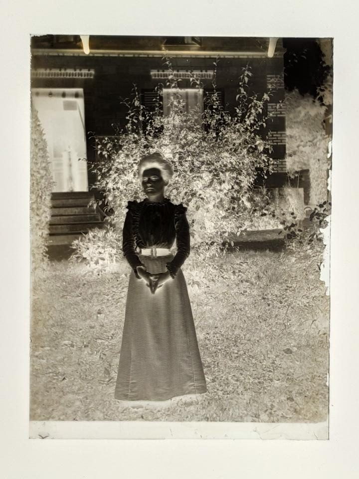 szklany negatyw, Botanik-fotoamator