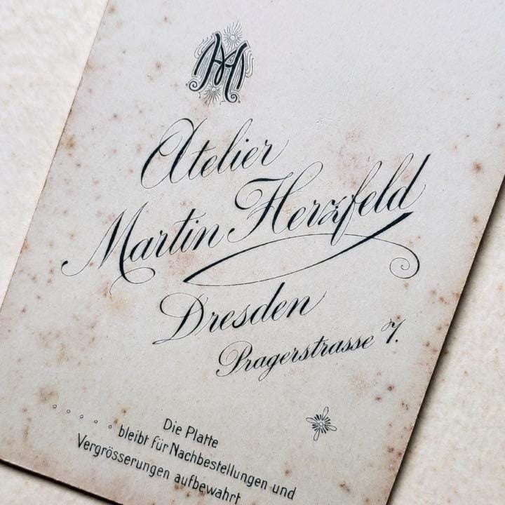 Atelier Martin Herzfeld Dresden Pragerstrasse, Kwiaty?, szuflada pełna fotografii Atelier Martin Herzfeld Dresden Pragerstrasse, Kwiaty?