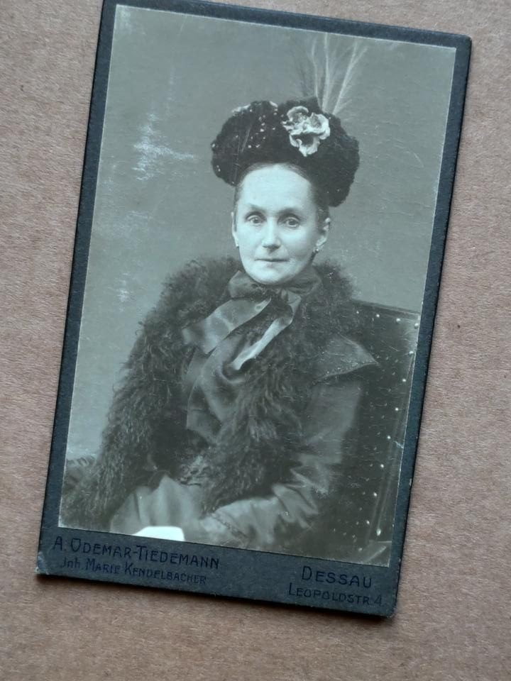 , Etola czy boa?, szuflada pełna fotografii , Etola czy boa?