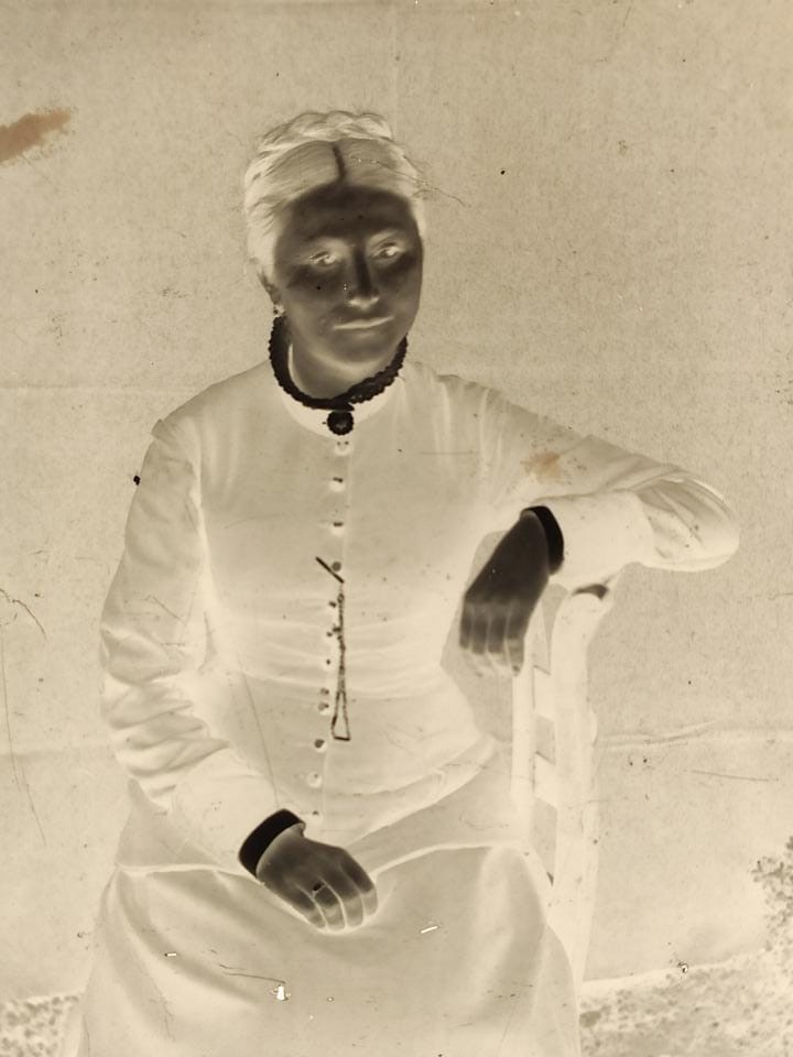 , W moim ogrodzie