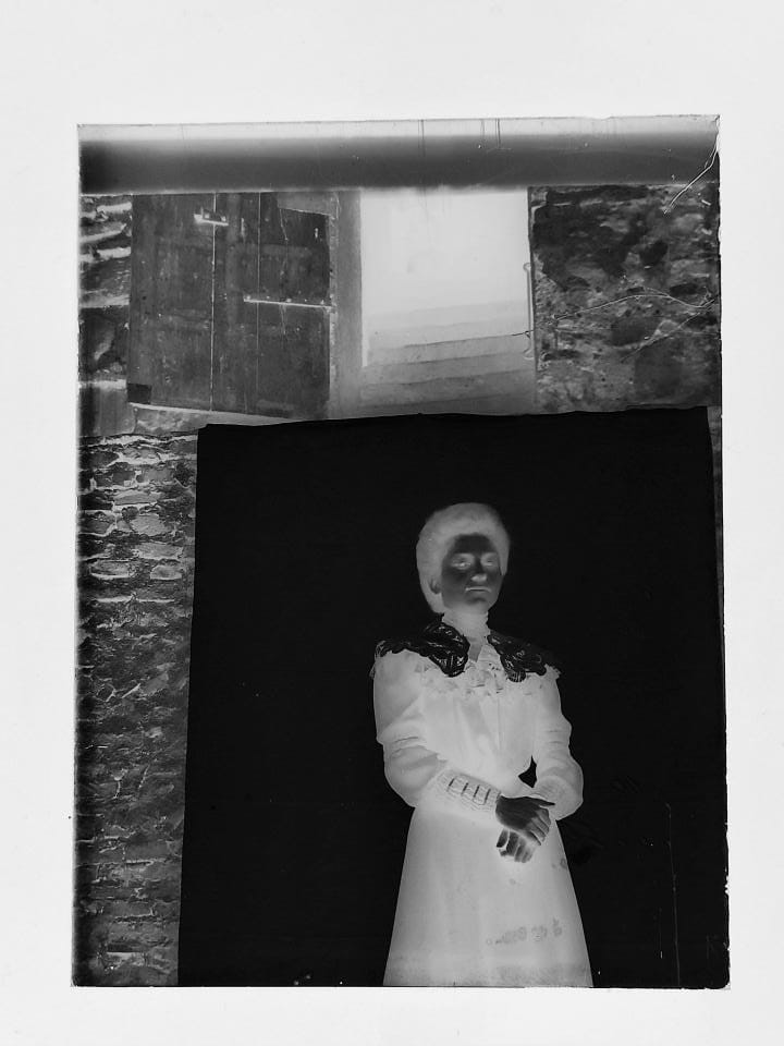 , Królowa podwórka