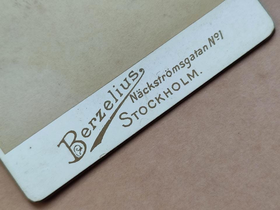 Alfred Teodor Ljungqvist Berzelius, W kamizeli