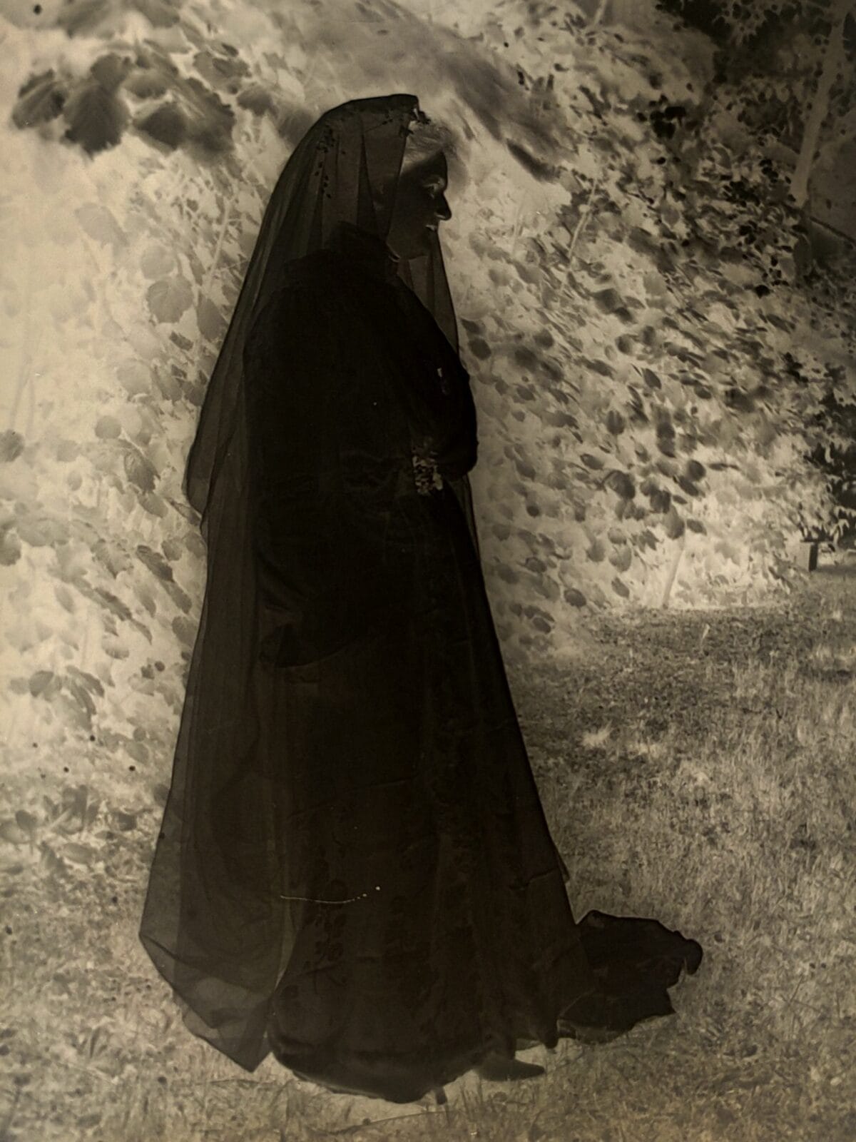 , Biała dama